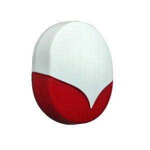 SE204
